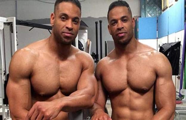 Hodgetwins professional career